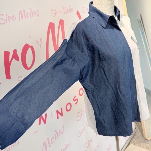 camisa love 2